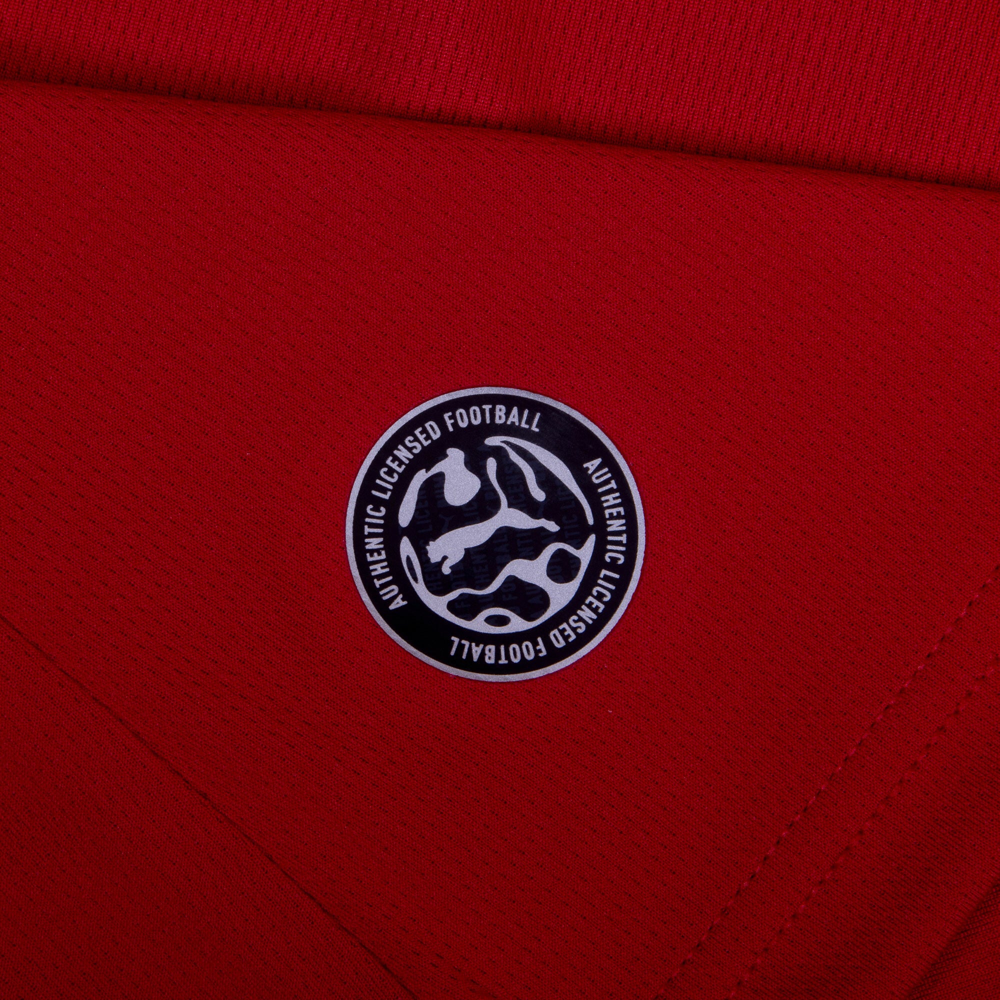 Czech Republic Home Jersey 2026-2027 (Fan)